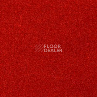 Ковролин AW Grand 10 фото 1 | FLOORDEALER