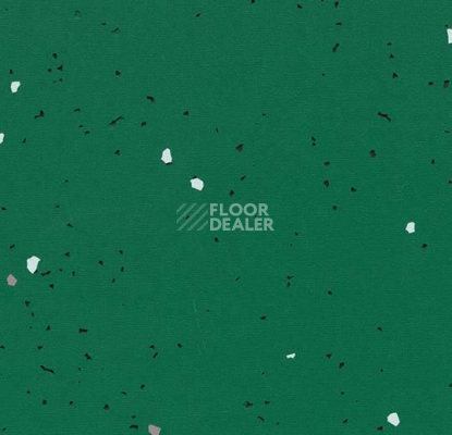 Линолеум Forbo Sphera Energetic 51242 vivid malachite фото 1 | FLOORDEALER