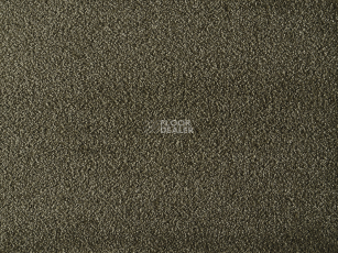 Lano Satine Nova 504 Forest Elf фото 1 | FLOORDEALER