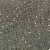 Линолеум Tarkett iQ Aria CARII-656 фото 1 | FLOORDEALER