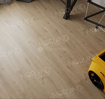 Norland Sigrid  LVT 2мм Abbi 1003-1 фото 3 | FLOORDEALER