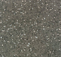 Линолеум Tarkett iQ Aria CARII-656 фото 1 | FLOORDEALER