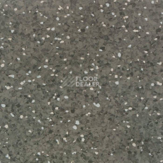 Линолеум Tarkett iQ Aria CARII-656 фото 1 | FLOORDEALER