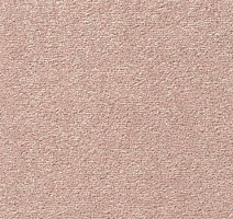 Ковролин Vorwerk Passion 1004 Vorwerk 1m05 фото 1 | FLOORDEALER