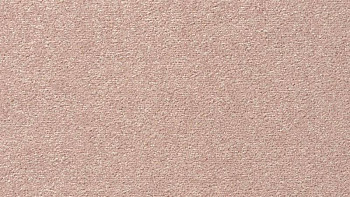 Ковролин Vorwerk Passion 1004 Vorwerk 1m05 фото 1 | FLOORDEALER