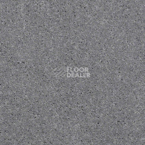 Ковролин Shaw Design Texture Platinum 541 фото 1 | FLOORDEALER