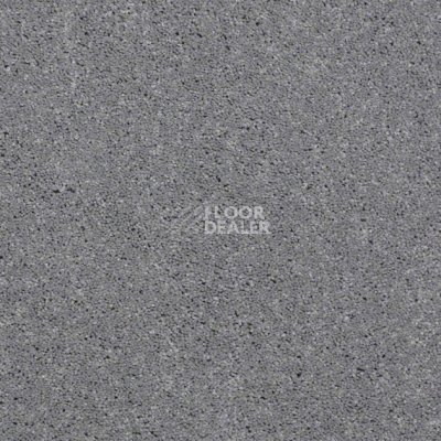 Ковролин Shaw Design Texture Platinum 541 фото 1 | FLOORDEALER