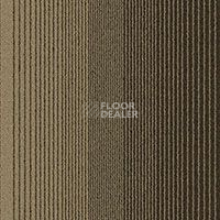 Ковровая плитка Ambient Ambient 542 фото 1 | FLOORDEALER