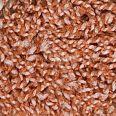 Ковролин Infloor Cottel 715 фото 1 | FLOORDEALER