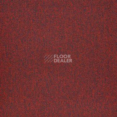 Ковровая плитка Modulyss Alpha 340 фото 1 | FLOORDEALER