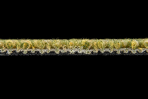 Escom Object 64090 фото 3 | FLOORDEALER