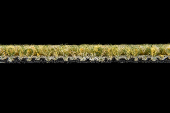 Escom Object 64090 фото 3 | FLOORDEALER