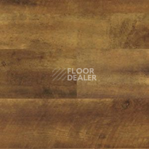 Линолеум Polyflor Expona Wood 6142 фото 1 | FLOORDEALER