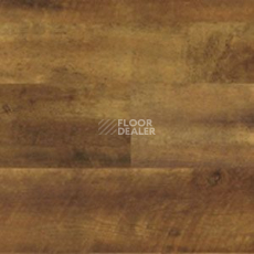 Линолеум Polyflor Expona Wood 6142 фото 1 | FLOORDEALER