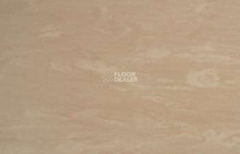 Tarkett Horizon 005 фото 2 | FLOORDEALER