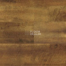 Линолеум Polyflor Expona Wood 6142 фото 1 | FLOORDEALER