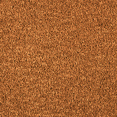 Ковролин AW Kiama 84 фото 1 | FLOORDEALER