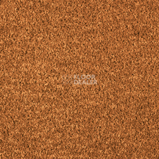 Ковролин AW Kiama 84 фото 1 | FLOORDEALER