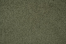 AW Daydream AW Daydream  24 фото 2 | FLOORDEALER