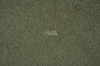 AW Daydream AW Daydream  24 фото 2 | FLOORDEALER