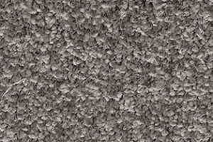 Ковролин AW Gaia Meridia 98 фото  | FLOORDEALER