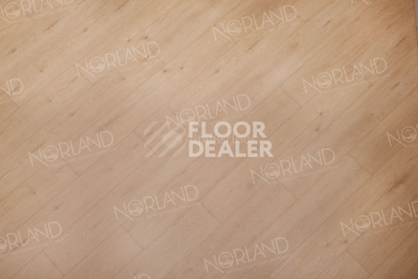 Виниловая плитка ПВХ Norland Sigrid 2мм Dor 1003-3 фото 2 | FLOORDEALER