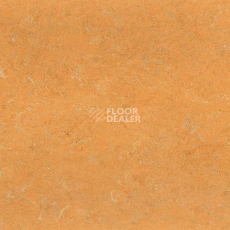 Линолеум Marmorette DLW 2.5mm 0173 Melon Orange фото 1 | FLOORDEALER