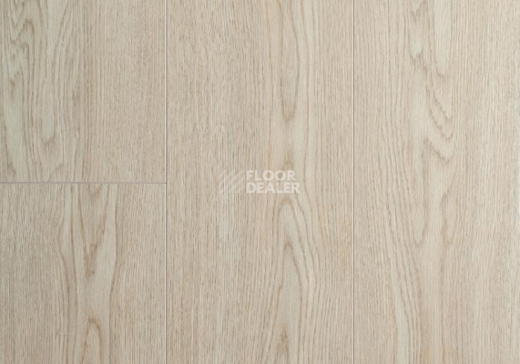 Ламинат My Floor Cottage 8мм mv854 Дуб Турин фото 1 | FLOORDEALER