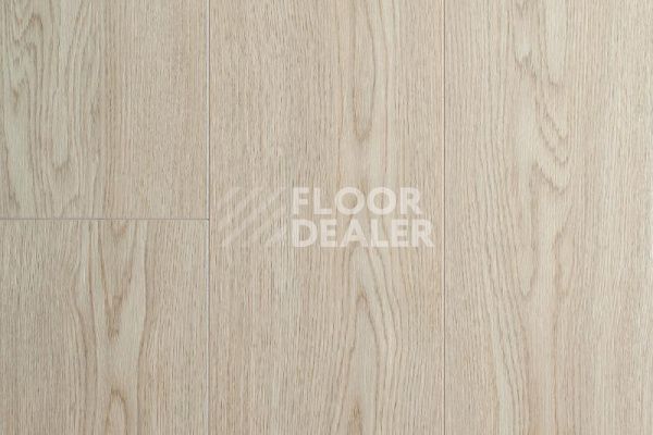 Ламинат My Floor Cottage 8мм Дуб Турин MV854 * фото 1 | FLOORDEALER