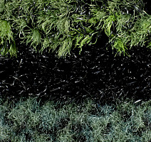 Forbo Coral Duo 9708 Green Bellagio фото 3 | FLOORDEALER