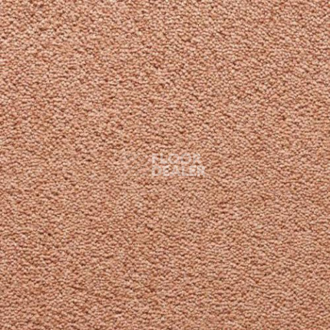 Ковролин Condor Carpets Antartica 222 фото 1 | FLOORDEALER