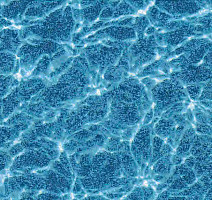 Ковролин Halbmond Pure Elements 13846 фото 1 | FLOORDEALER