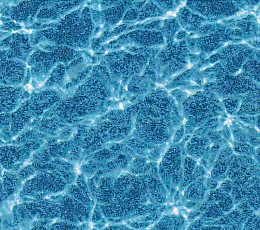 Halbmond Pure Elements 13846 фото 1 | FLOORDEALER