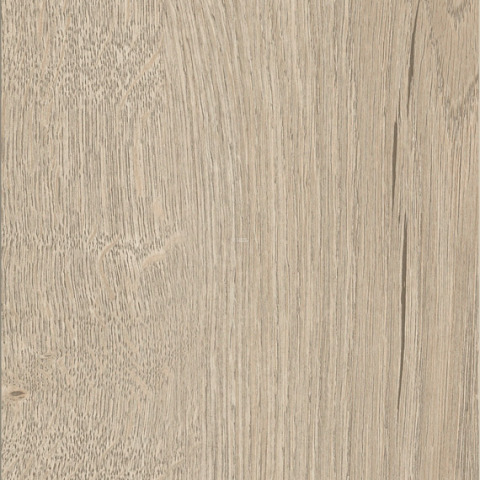 Kronotex Exquisit 8мм d41182 Дуб Горизонт кремовый фото 16 | FLOORDEALER