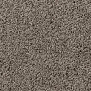 Ковролин Vorwerk Passion 1003 Vorwerk 5v25  | FLOORDEALER