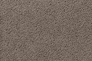 Ковролин Vorwerk Passion 1003 Vorwerk 5v25 фото  | FLOORDEALER