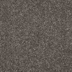 Ковролин AW Masquerade Gala 49 фото 1 | FLOORDEALER