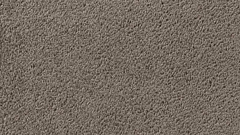 Ковролин Vorwerk Passion 1003 Vorwerk 5v25 фото 1 | FLOORDEALER