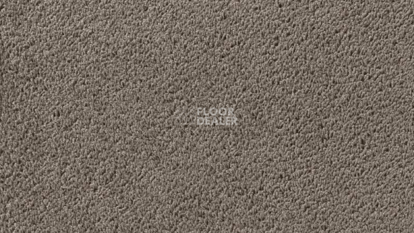 Ковролин Vorwerk Passion 1003 Vorwerk 5v25 фото 1 | FLOORDEALER