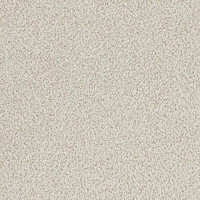 Ковролин Lano Bloss Blo 0240 фото 1 | FLOORDEALER