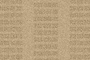 Ковролин Balsan Chicago 621 фото  | FLOORDEALER