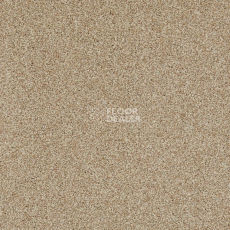 Ковролин Betap Transmit 67 фото 1 | FLOORDEALER