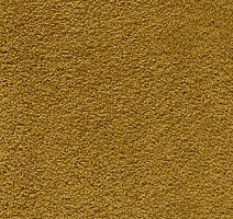 Ковролин AW Softissimo 54 фото 1 | FLOORDEALER