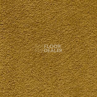 Ковролин AW Softissimo 54 фото 1 | FLOORDEALER