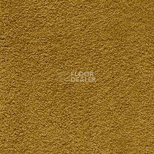 Ковролин AW Softissimo 54 фото 1 | FLOORDEALER