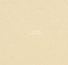 Линолеум Forbo Marmoleum Неожиданная природа 3560 фото 1 | FLOORDEALER