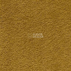 Ковролин AW Softissimo 54 фото 1 | FLOORDEALER
