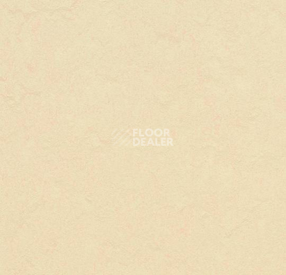 Линолеум Forbo Marmoleum Неожиданная природа 3560 фото 1 | FLOORDEALER