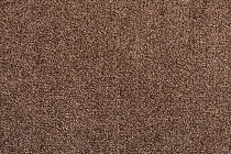 Sintelon Dragon 11431 фото 1 | FLOORDEALER