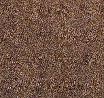 Ковролин Sintelon Dragon 11431 фото 1 | FLOORDEALER